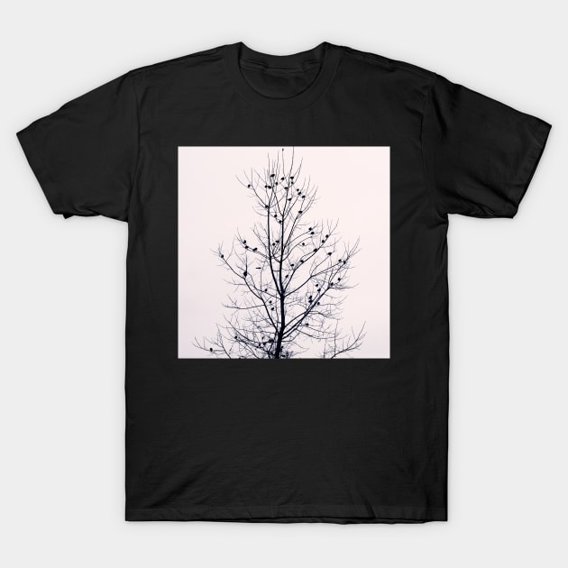 Sapling T-Shirt by ALICIABOCK